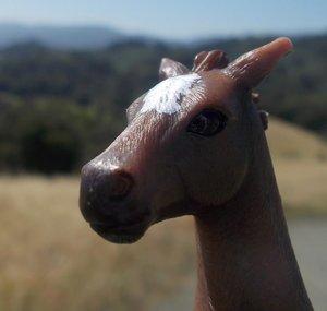 Keep Calm And Love Schleich