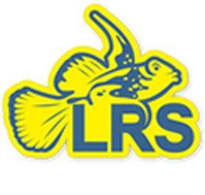 LRS Foods