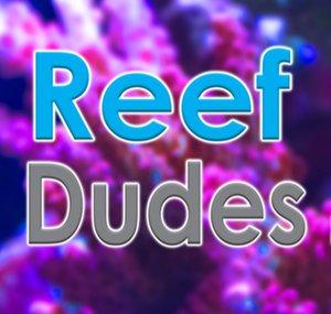 ReefDudes