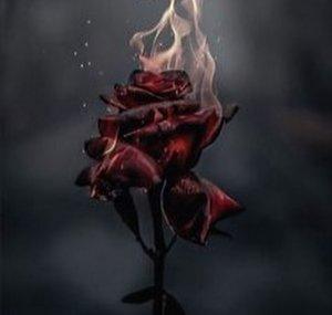 Rose Star