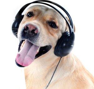 Sons pour Chiens et Chats
