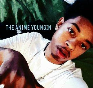 TheAnimeYoungin -