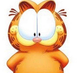 TheGarfield27