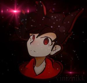 vinizinkk
