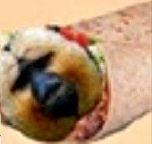 BurritoBrian