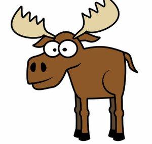 HeyImMoose