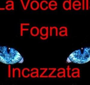 LaFognaIncazzata
