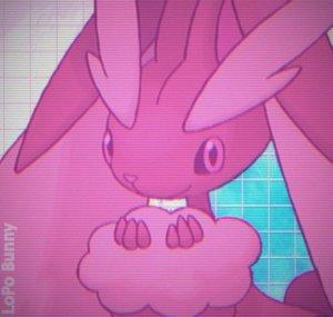 【LoPo Bunny】