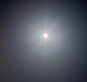 LunarNyx