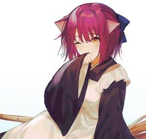 Neko Hotaru