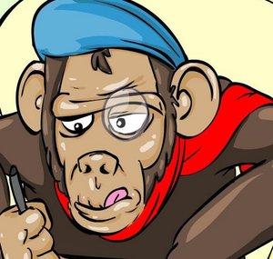 oLoLoSHOW
