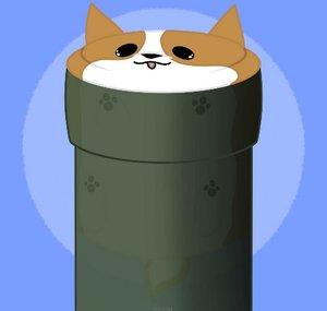 Rooted Corgi