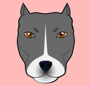 troublethepitbull