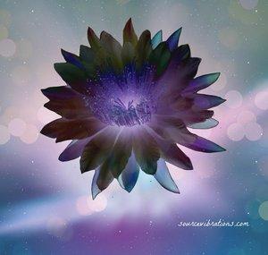 AyahuascaMystic