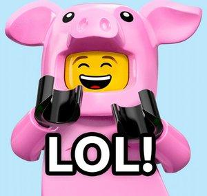 BrickFun201