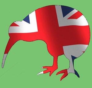 BRITISH KIWI
