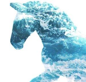 ocean modellhorses