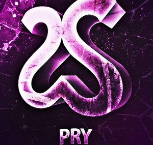 Pry PS3/PS4