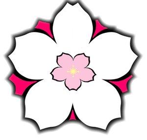 Sakura Media