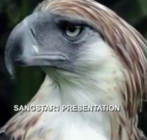 Sangstar1 Videos Presentations TruthResearchers