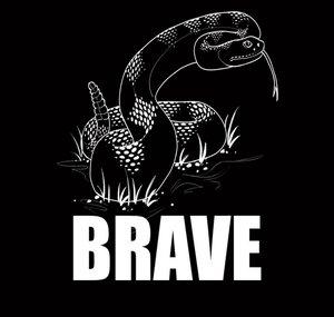 The Brave Podcast