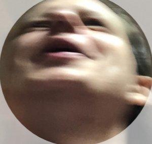 twissan