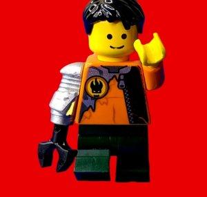 Wildbricks