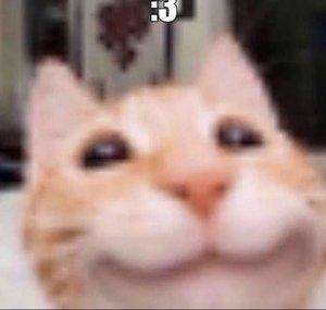 CatmemesLab