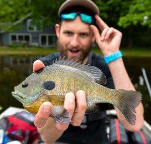 Fish Anything
