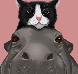 Hippocat