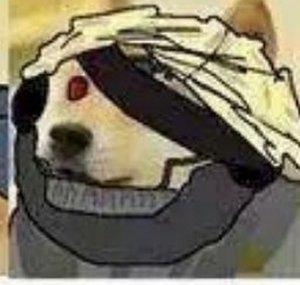 jack wolf