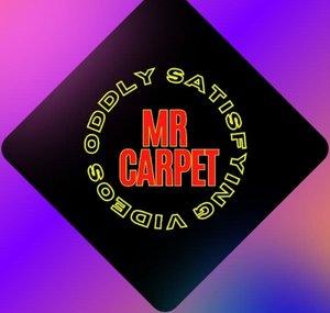 Mr.Carpet Cleaning Satisfying Asmr