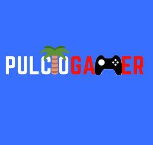 Pulcio Gamer