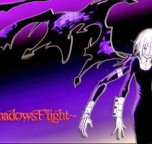 ShadowsFlight17