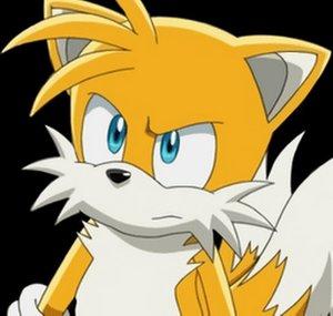 Tails is disappointed in your recent decisions
