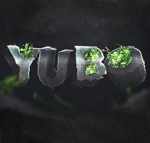 Yubo