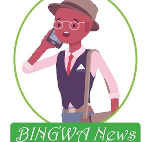 BINGWA NEWS TV