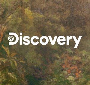 Discovery