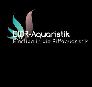 Einstieg in die Riffaquaristik