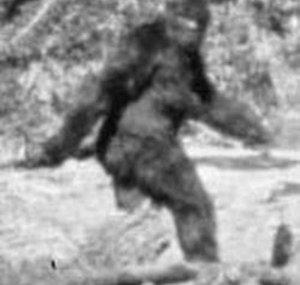 JimHarrisan