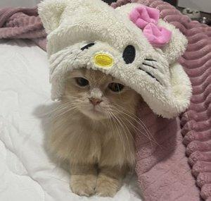 kakau!