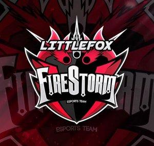 Littlefox Game