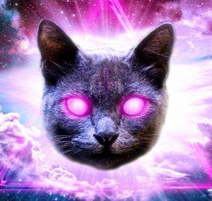 MsBellaFemme