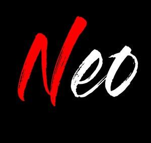 NEO 300