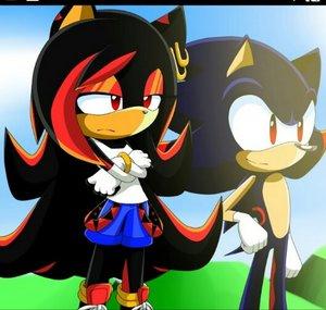 Shallow The Hedgehog