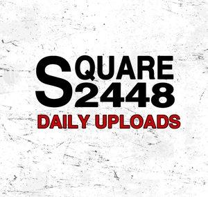 Square2448