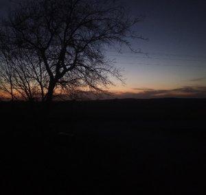 Wide Open Adventures