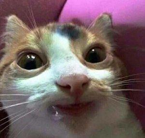 Fluffmaster