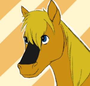 horse14t