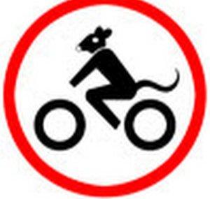 Lebrat motovlogs